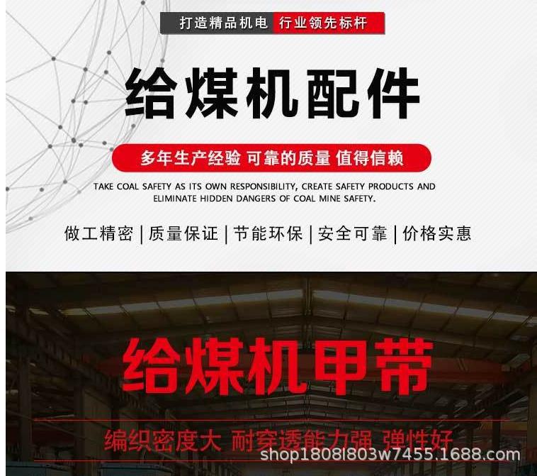 给煤机甲带_1.png