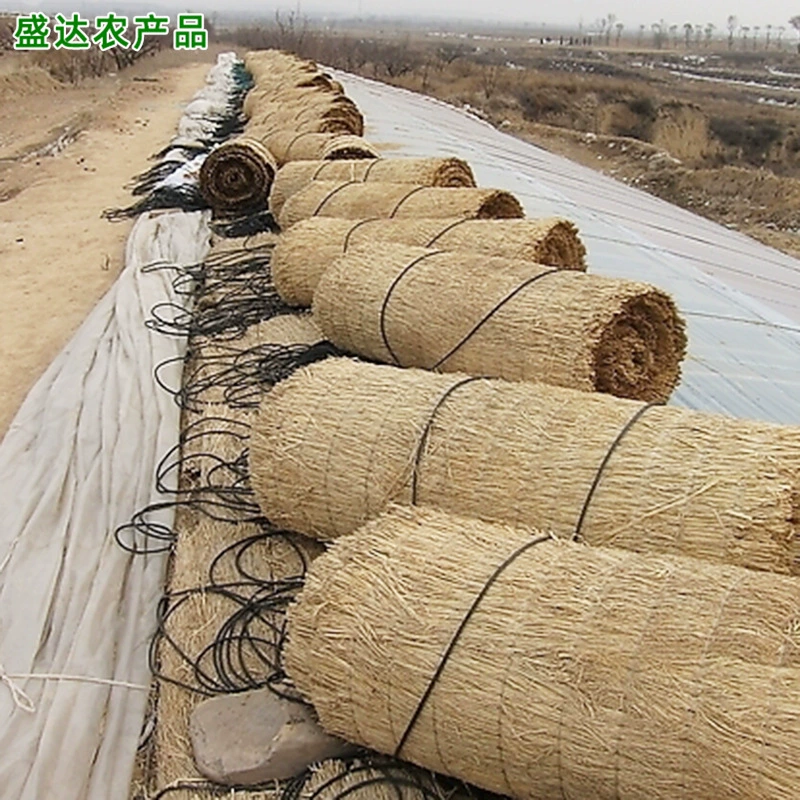 Фабрика оптовая продажа овощей для хранения теплицы