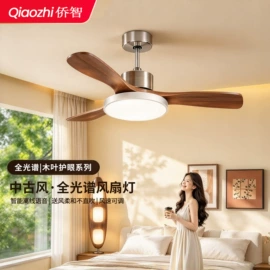 吸顶灯;吊灯;风扇灯
