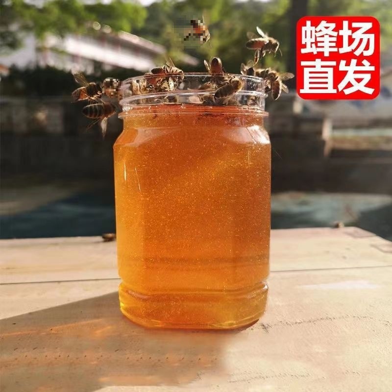1.5kg 핫 세일 - 벌집 여과 야생 꿀