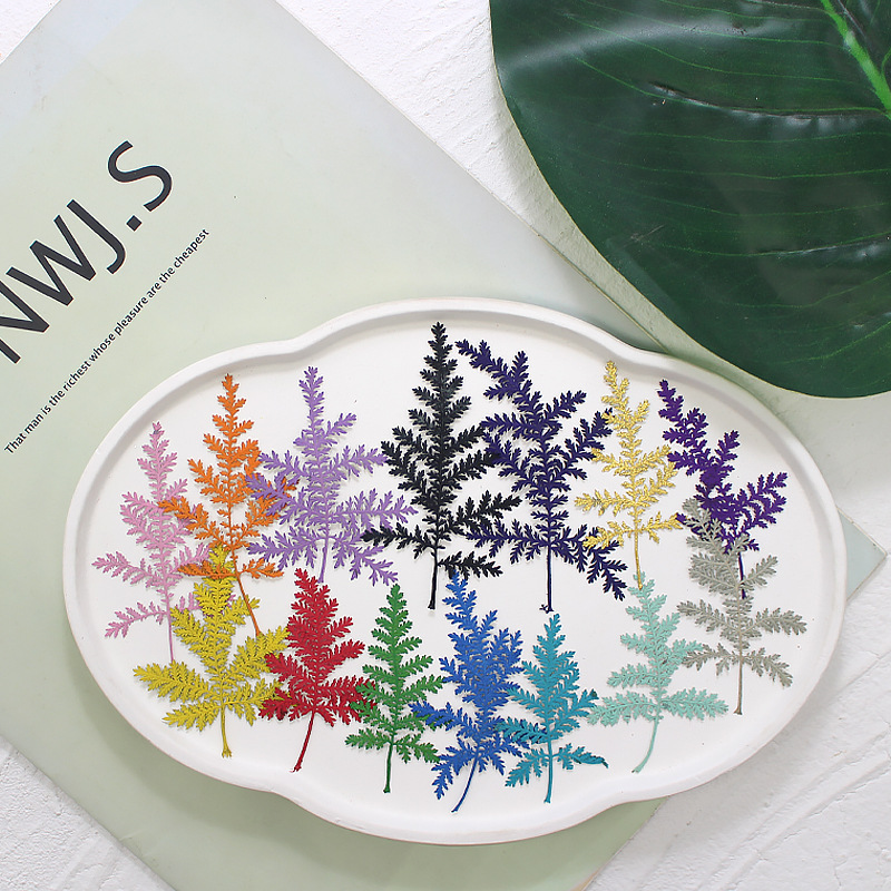 Mugwort Leaves, Dried Flowers, Embossed Specimens, Handmade DIY Bookmarks, Photo Frames, Embossed Stickers, Manicure Photos, Face Decorations