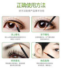 MXPAIDANG Eyelash Nourishing Liquid, Curly and Long, Cute Bear Partner Eyebrow Liquid, Thick Lash Mascara, Moisturizing, Wholesale