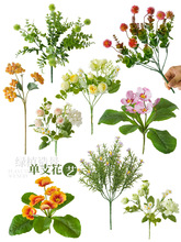 ٻҰՈ󴺔[O͏db廨ˇ֧