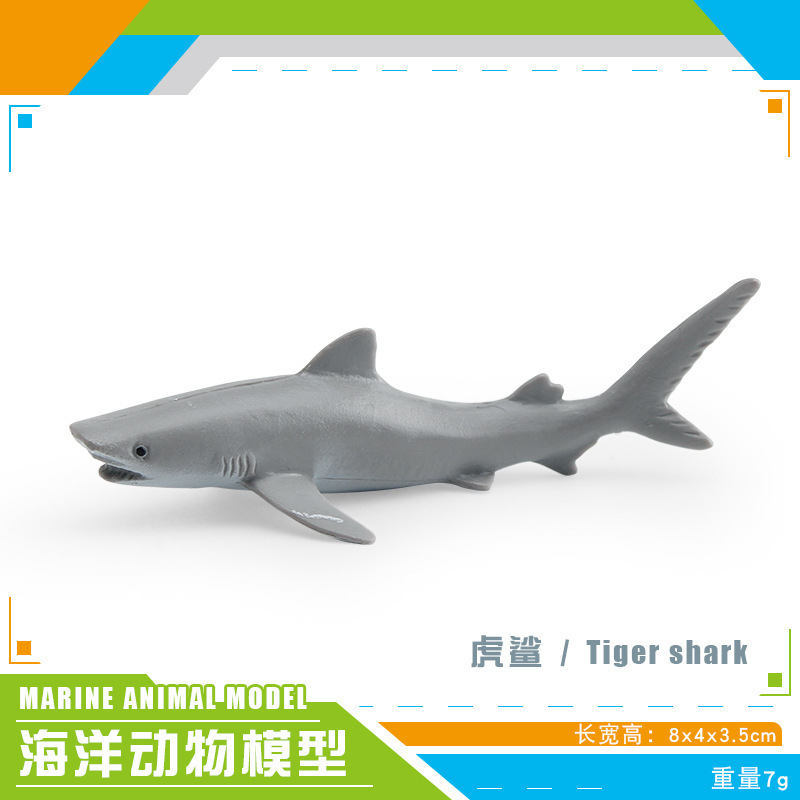 BL - 5336 Tiburón tigre 7g