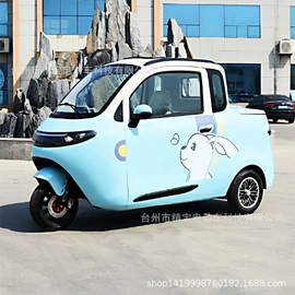 其他电动车;电动三轮车;其他非机动车