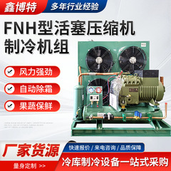 メーカー既製冷凍コンプレッサー冷蔵フルセット中高温および低温FNH型ピストンコンプレッサー冷凍ユニット
