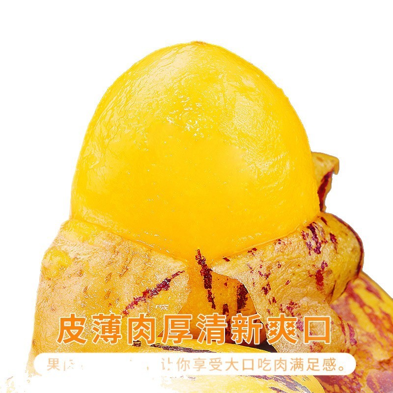 甘粛民清砂漠高麗人参果実フレッシュフルーツ 5kg 特産品カラフルな大きな果樹熟したフルーツ全箱送料無料|undefined