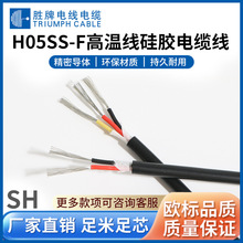 늾 H05SS-Fϵжоz3о1.0ƽ޼͸ߜԴ