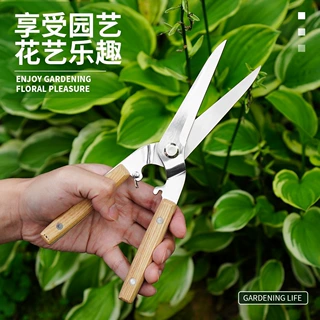 强力花枝剪枝园艺剪子修枝剪省力修剪树枝果树枝园林花卉花艺剪子