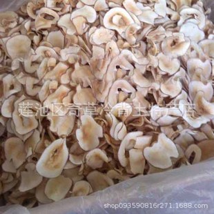 ��Ҭ��,��Ҭ��,��؛���l��ș�ĺ�Ҭ��,�S�Ҷ�N��ș��Ҭ��