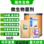 发酵哈茨地衣枯草木霉菌