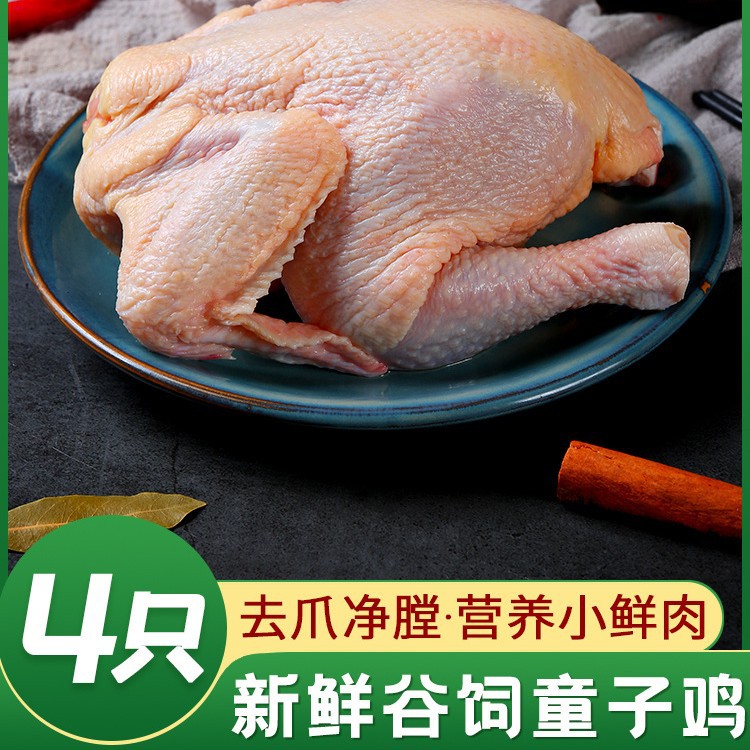 农家散养童子鸡冷冻西装鸡整鸡三黄鸡新鲜商用食品整箱批发包邮2