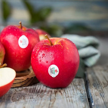 新西兰红玫瑰苹果12个新鲜进口水果当季时令脆甜进口苹果