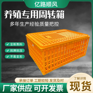 ���������u�\�\ݔ�\�����Bֳ���D���u���Z�������Ͽ��������ü���