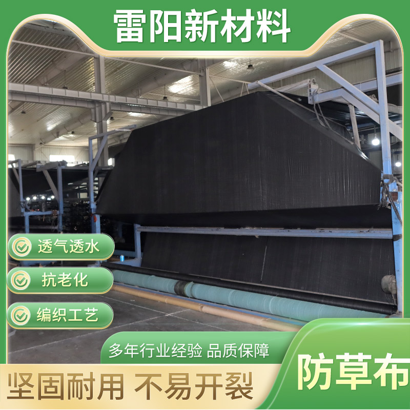 防草布农用大棚除草盖草抑草遮草布园艺透气透水抗老化加厚防草布