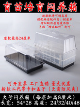 ���B������������P�Ӹ����b���w����ͥԺ�@ˇǤ�屣�؝�����ů��