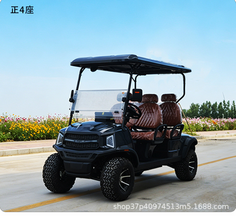 Electric Golf Cart Sightseeing Vehicle 2-10 Seats for Tourist Attractions, Parks, Hotels, Property Tours, and Beach Use