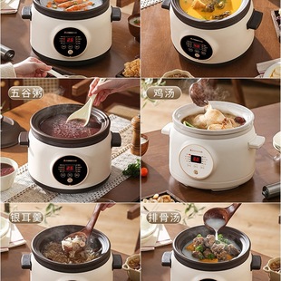 Chigo Electric Stew Pot Baby Food Supplement Pot Ceramic Household Fully Automatic Stew Pot Electric Casserole Special Pot for Cooking Porridge