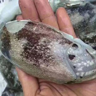 ī�~�й��S���lī�~�����|ɽ�u����������~�Mœһ�����l��