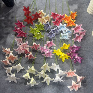 �ٻ����滨3D�z��3�b��Ĕz���߶Y�ô�ӡ���l�ٺϻ�c�����S���^