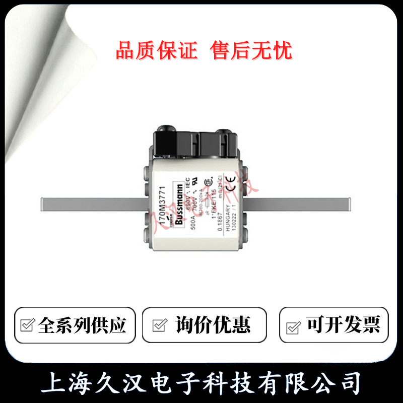 170M3770 170M3771 170M3772 170M3773 BUSSMANN 熔断器 保险丝