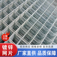定制镀锌钢丝网片加粗电焊方格网养殖隔离网格片围栏冷热镀锌网片