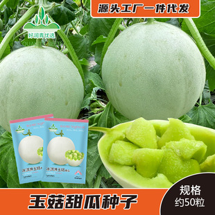 ���������ϷN�Ӱ�Ƥ�G���Ƥ��ϷN�ѹ��ܹ��۹ϴ��＾ˮ����
