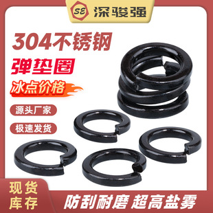 ɫ304P䓏ɉ|Ȧ|Ȧ_ڏ|ٽ