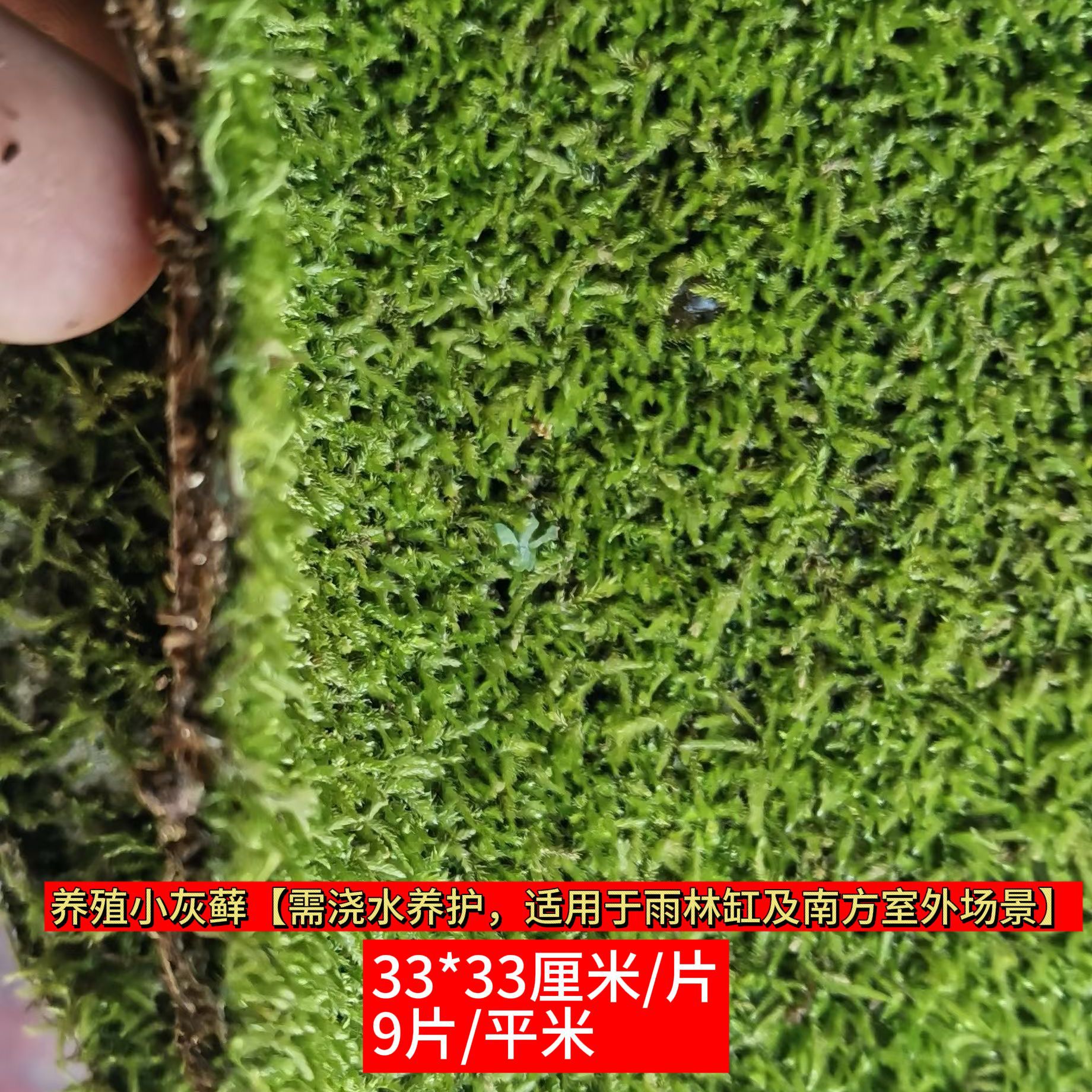 微信图片_20250729165045