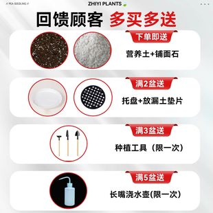 ֲM҃С¶ҵմɻϘ߶Gֲ