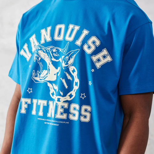 VQ sports fitness style short-sleeved large size t-shirt men's running casual cotton European and American hip-hop workout clothes dropshipping