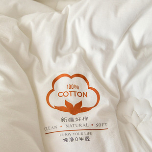 Xinjiang Cotton Quilt Class A Maternal and Infant Grade All Cotton Thickened Skin-friendly Original Cotton Winter Warm Xinjiang Cotton Quilt Core