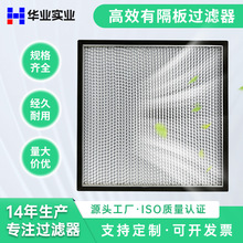 定制有隔板高效过滤器 食品制药半导体无尘车间空气过滤器H13H14