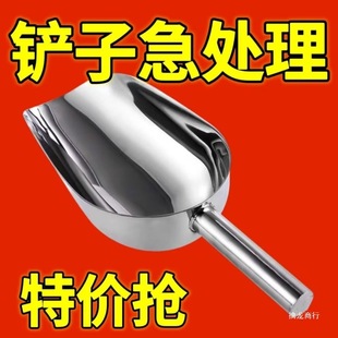 Stainless Steel Scoop for Flour, Rice, Grains, and Tea