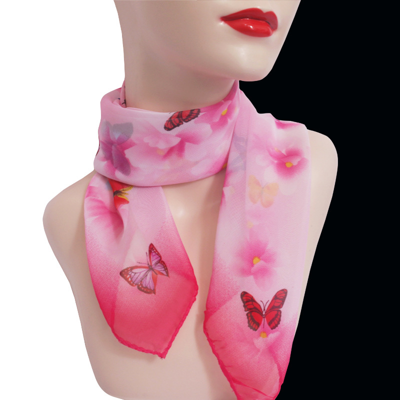 로즈 레드 나비