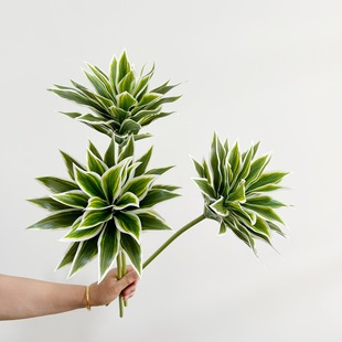 ����ٺ��� ��¶���^����Ҿ��҃�ܛ�b�b��g������]�����~��