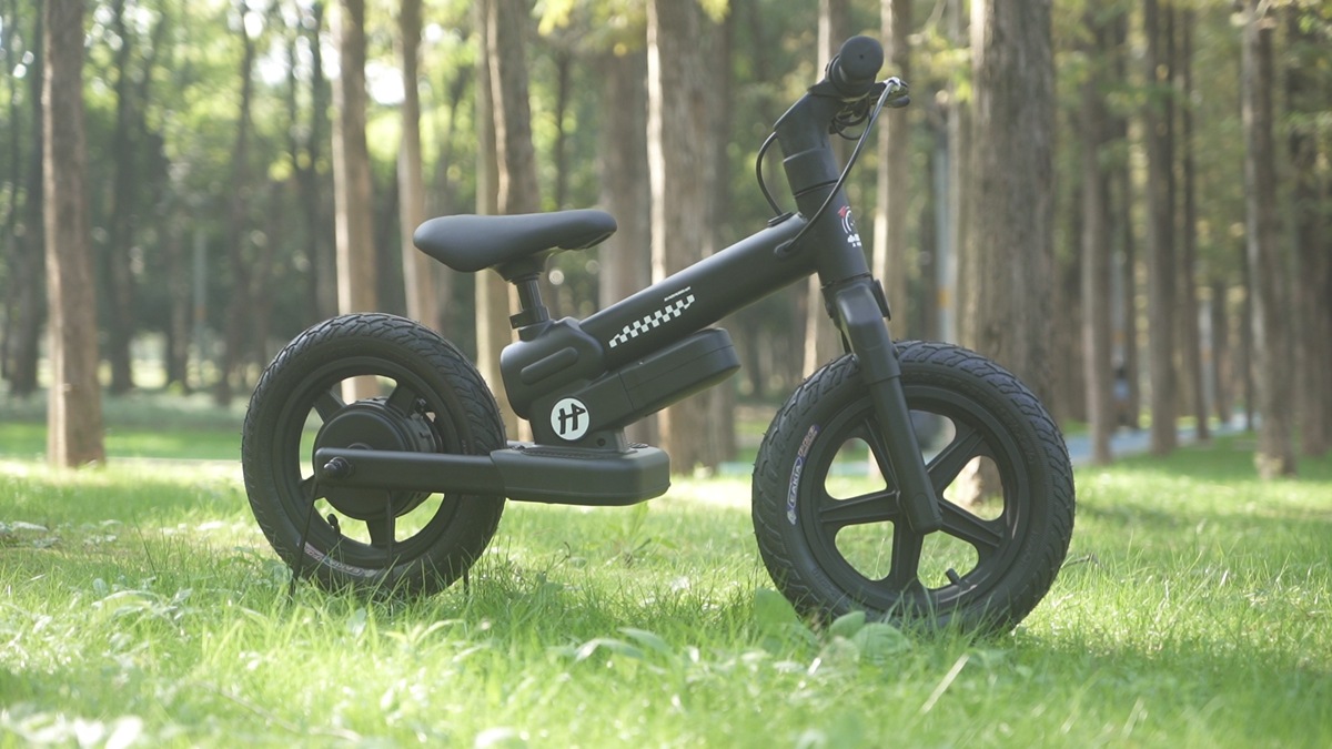 DP-T12 (11)