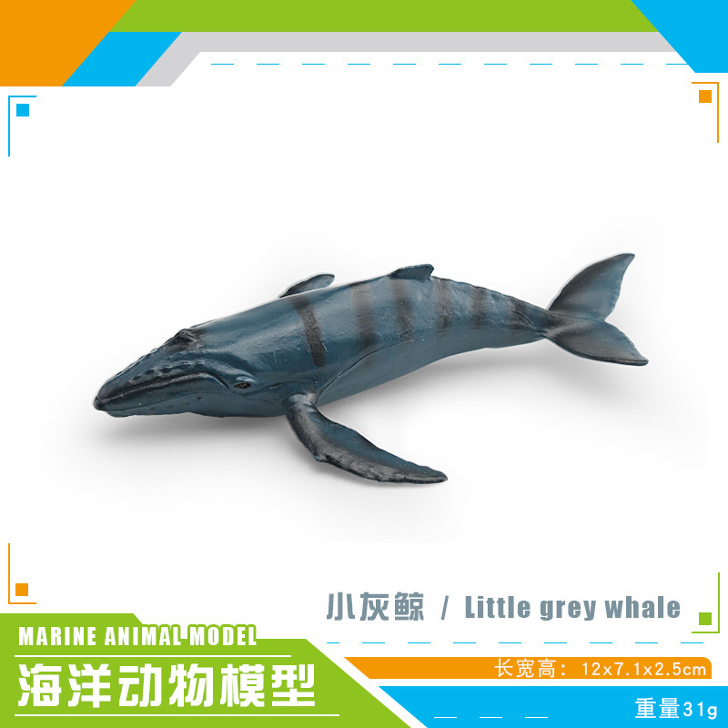 Simulación transfronteriza modelo de animales marinos cognitivo infantil tiburón ballena azul calamar ballena jorobada delfín decoración estática
