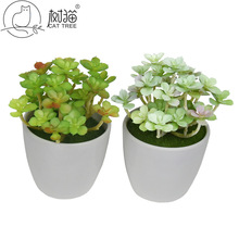 环保仿真多肉植物11cm凹叶景天塑料绿植小盆景植物墙装饰多肉配件