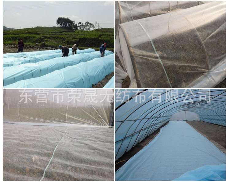 O1CN01Jqup381cvhS7fxpKt_!!998553663-0-cib.jpg?__r__=1684201735983