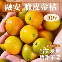 �V����ƤС���10�����r���ӑ������Fժˮ���۽�̽ۼ����ЋD����