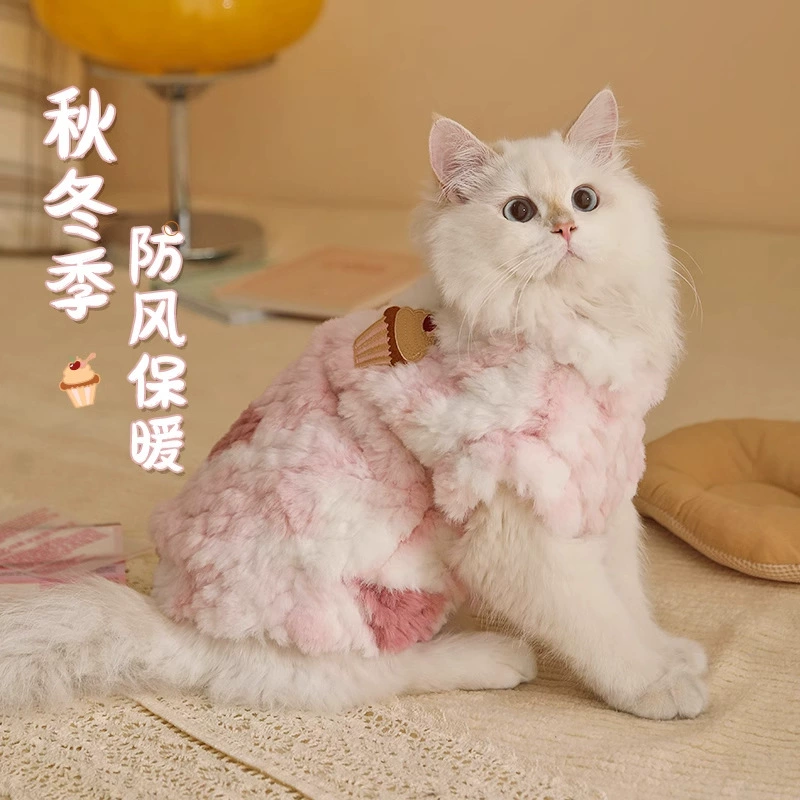Кошачья одежда зимой