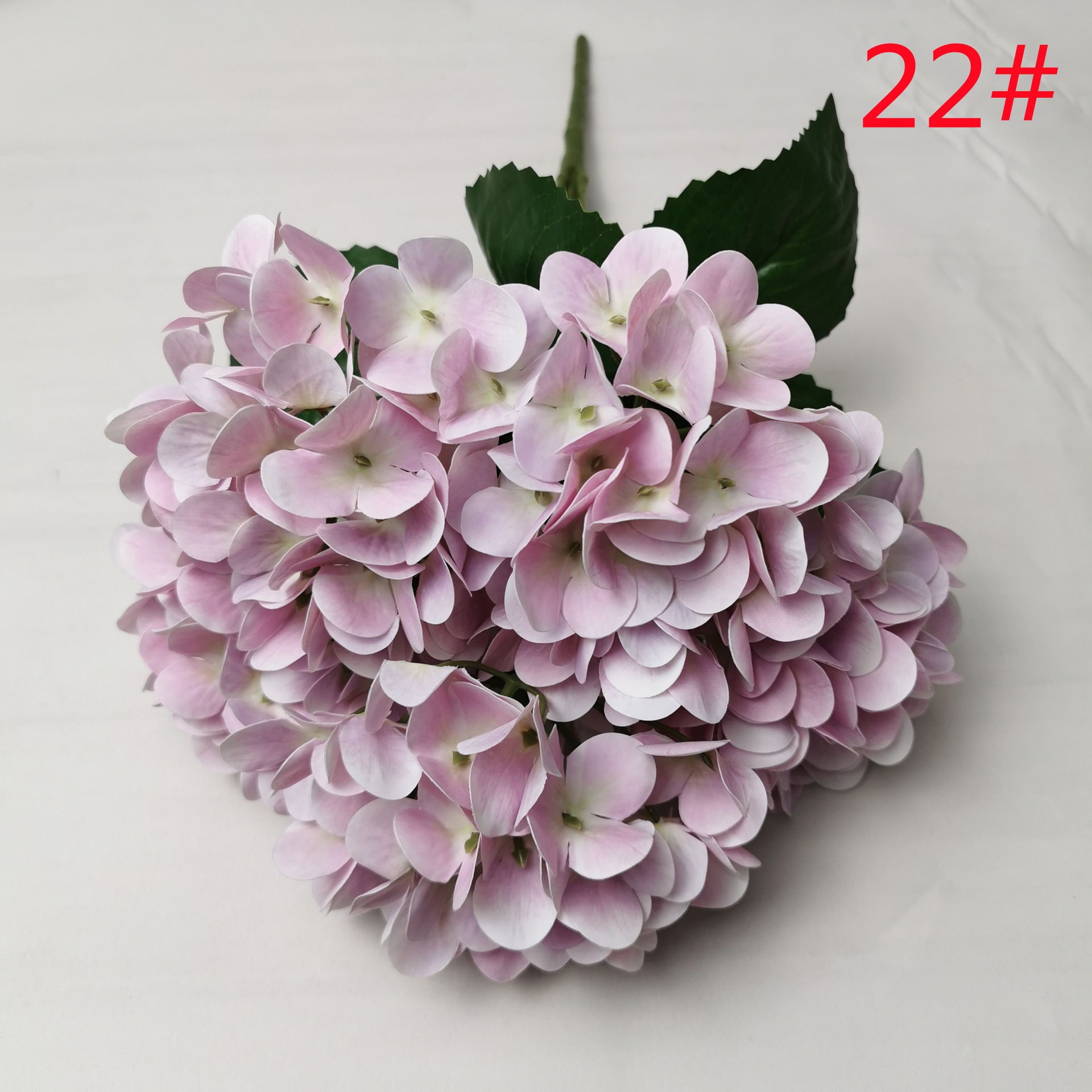22#