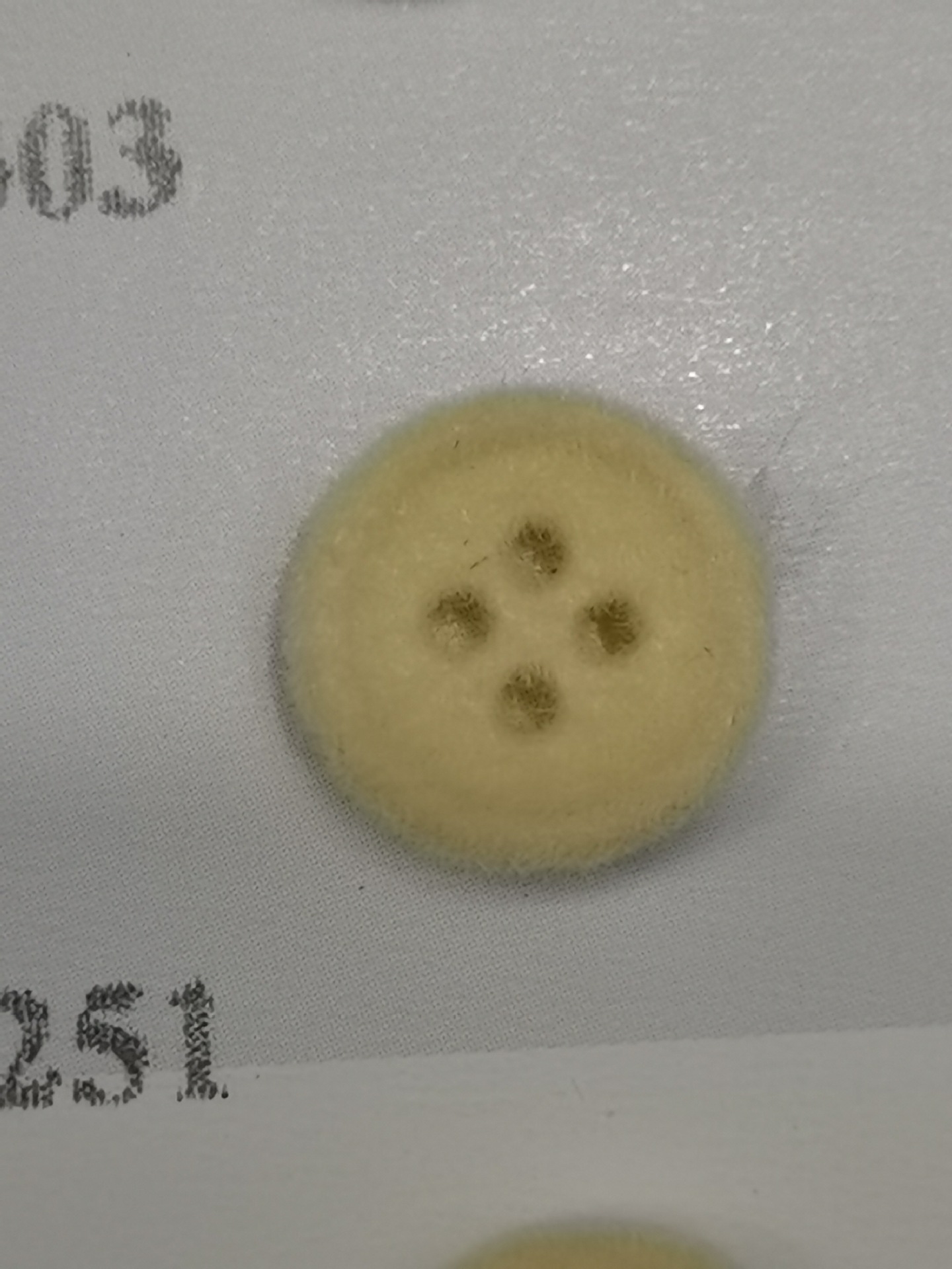 6c577403b34883ff28ee78fb0cbc84