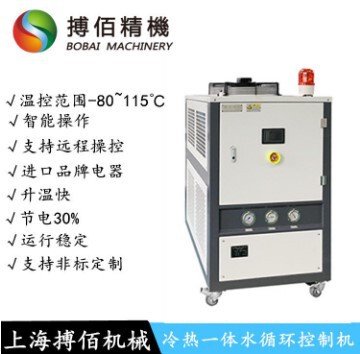 Sewage Treatment Matching Equipment Septic Tank Oil Circulation Heater Mold Thermal Oil Thermostat Machine