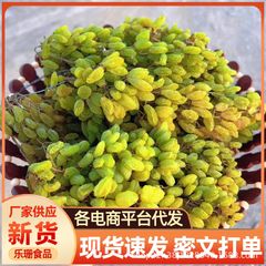 水洗い新疆緑レーズン代発卸売り500gエメラルド緑提子果乾間食