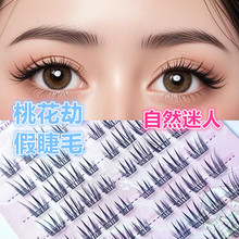 月娇娘桃花劫假睫毛女团爱豆细梗分段自然仿真懒人单簇日常上镜