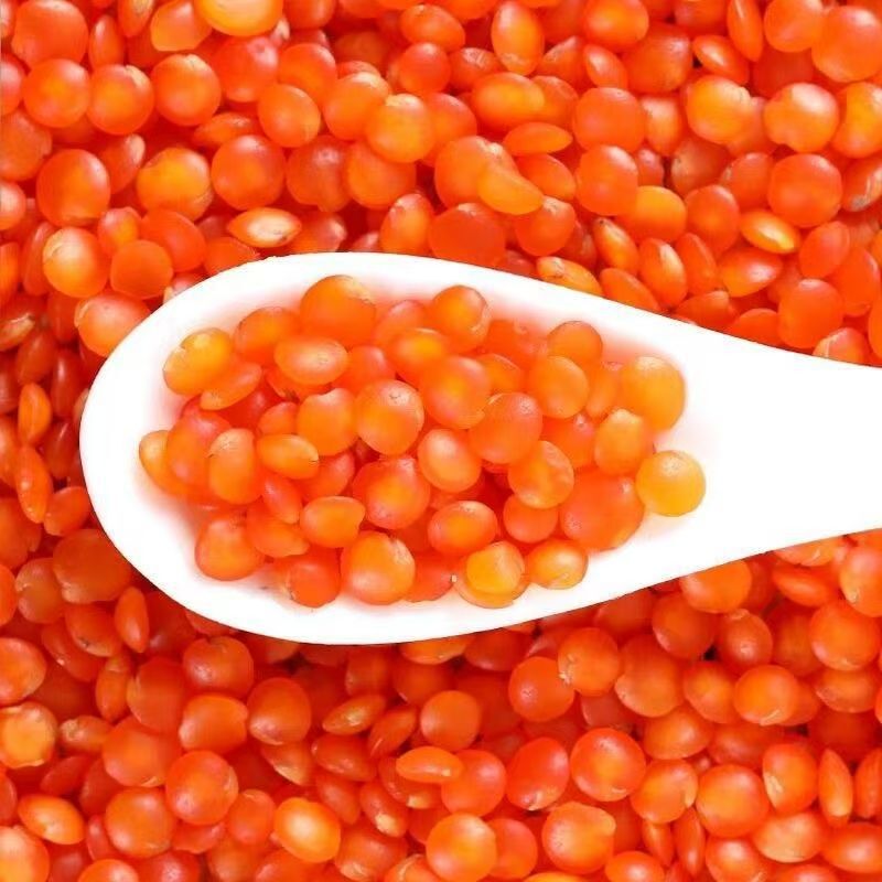 Turkish Red Lentils, New Red Lentils, Tomato Red Grains, Free Shipping Turkish Red Lentils, New Red Lentils, Tomato Red Grains, Free Shipping