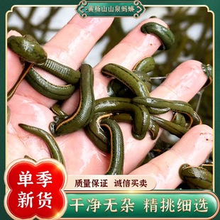 Ұ����ѪΛ� ˮ�λ��w ��ţ���B������ ���tˮ�ί��� ����Ѫ��؛