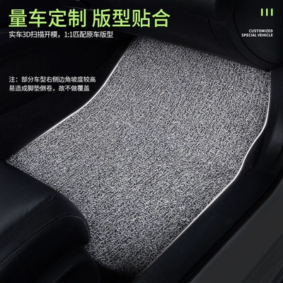 and rear seat floor mats, Universal Foot Pad
